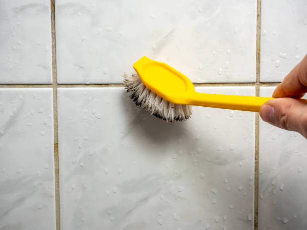 Best Home Mold Removal  in Prosper, TX