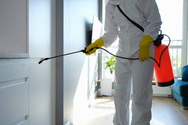 Best Residential Mold Removal  in Prosper, TX
