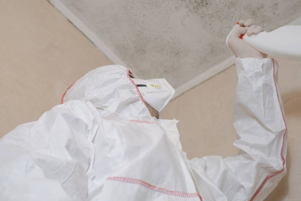 Best Mold Remediation  in Prosper, TX