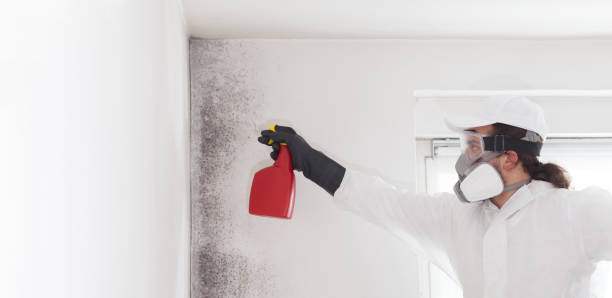 Best Emergency Mold Removal  in Prosper, TX