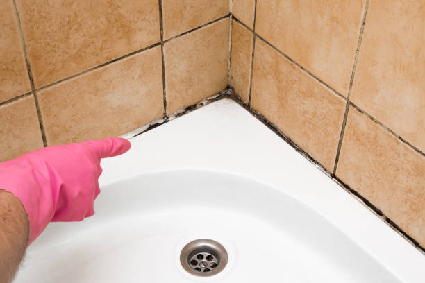 Best Residential Mold Removal  in Prosper, TX